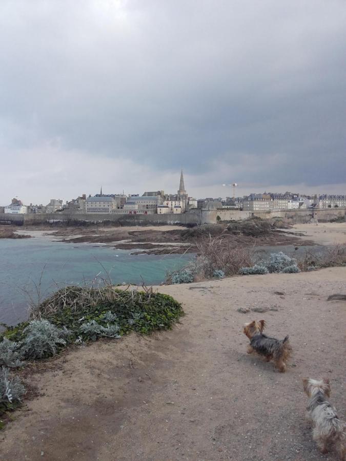 Les Bois Flottes Lejlighed Saint-Malo Eksteriør billede